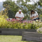 22.07.2018 Kielce. Ogród botaniczny / Jarosław Kubalski / Radio Kielce