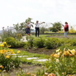 22.07.2018 Kielce. Ogród botaniczny / Jarosław Kubalski / Radio Kielce