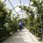 22.07.2018 Kielce. Ogród botaniczny / Jarosław Kubalski / Radio Kielce