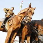 09.08.2018 Jędrzejów. 38 Marsz Szlakiem I Kompanii Kadrowej. Uroczystości na placu Kościuszki / Jarosław Kubalski / Radio Kielce