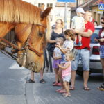 09.08.2018 Jędrzejów. 38 Marsz Szlakiem I Kompanii Kadrowej. Uroczystości na placu Kościuszki / Jarosław Kubalski / Radio Kielce
