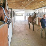 09.08.2018 Michałów. Stadnina koni / Jarosław Kubalski / Radio Kielce