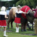 11.08.2018 Kurozwęki. Festyn Dziki Zachód / Jarosław Kubalski / Radio Kielce