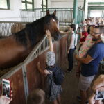 15.08.2018 Michałów. Stadnina koni arabskich. Dzień otwarty / Jarosław Kubalski / Radio Kielce