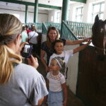 15.08.2018 Michałów. Stadnina koni arabskich. Dzień otwarty / Jarosław Kubalski / Radio Kielce