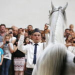 15.08.2018 Michałów. Stadnina koni arabskich. Dzień otwarty / Jarosław Kubalski / Radio Kielce