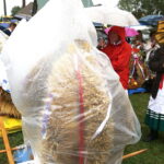 26.08.2018 Pierzchnica. Dożynki powiatu kieleckiego / Jarosław Kubalski / Radio Kielce