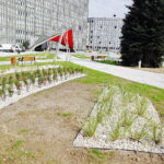 28.08.2018 Kielce. Zrewitalizowany plac przed ŚUW / Jarosław Kubalski / Radio Kielce