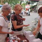 Krzysztof K.A.S.A. Kasowski - koncert w kieleckim Parku Miejskim w ramach Wakacyjnego Lata Radia Kielce / Piotr Michalski / Radio Kielce