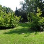 Ostrowiec. Konferencja ws. ustawienia Masztu Niepodległości / Emilia Sitarska / Radio Kielce