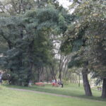 24.08.2018 Ciekoty. Szklany Dom. Raport Dnia Radia Kielce / Krzysztof Bujnowicz / Radio Kielce