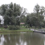 24.08.2018 Ciekoty. Szklany Dom. Raport Dnia Radia Kielce / Krzysztof Bujnowicz / Radio Kielce