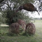 24.08.2018 Ciekoty. Szklany Dom. Raport Dnia Radia Kielce / Krzysztof Bujnowicz / Radio Kielce