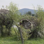 24.08.2018 Ciekoty. Szklany Dom. Raport Dnia Radia Kielce / Krzysztof Bujnowicz / Radio Kielce