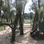 24.08.2018 Ciekoty. Szklany Dom. Raport Dnia Radia Kielce / Krzysztof Bujnowicz / Radio Kielce