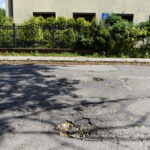 Trzy ulice w centrum Kielc zostaną wyremontowane. Ogłoszono przetarg. Ulica T. Kościuszki / Marzena Mąkosa / Radio Kielce