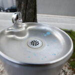 Poidełko wodne / Marzena Mąkosa / Radio Kielce