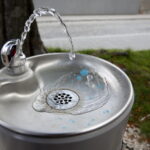 Poidełko wodne / Marzena Mąkosa / Radio Kielce