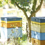 Konferencja prasowa PiS. Ule / Marzena Mąkosa / Radio Kielce