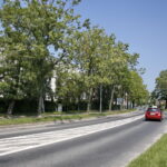 Ulica Skrzetlewska / Marzena Mąkosa / Radio Kielce