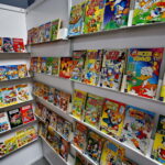 III Festiwal SABAT FICTION FEST / Marzena Mąkosa / Radio Kielce