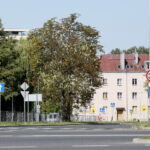 Kasztany zakwitły w sierpniu / Marzena Mąkosa / Radio Kielce