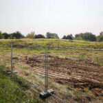 Plac budowy. Rozbudowa kliniki Radioterapii Świętokrzyskiego Centrum Onkologii / Marzena Mąkosa / Radio Kielce