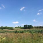 Zysławice. Teren, na którym ma powstać ferma drobiu / Kamil Włosowicz / Radio Kielce