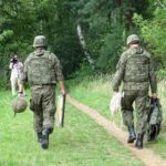 Ostrowiec. Niewybuch nieopodal kompleksu rekreacyjno-wypoczynkowym na Gutwinie znalazł przechodzień / Emilia Sitarska / Radio Kielce