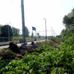 Wąchock. Modernizacja stacji kolejowej. Wymieniane są tory i sieć trakcyjna, modernizowane są perony / Tomasz Piwko / Radio Kielce