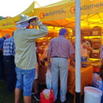 XI Świętokrzyskie Święto Pszczoły / Emilia Sitarska / Radio Kielce