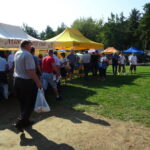 XI Świętokrzyskie Święto Pszczoły / Emilia Sitarska / Radio Kielce