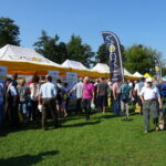 XI Świętokrzyskie Święto Pszczoły / Emilia Sitarska / Radio Kielce