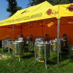 XI Świętokrzyskie Święto Pszczoły / Emilia Sitarska / Radio Kielce