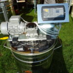 XI Świętokrzyskie Święto Pszczoły / Emilia Sitarska / Radio Kielce