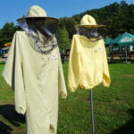 XI Świętokrzyskie Święto Pszczoły / Emilia Sitarska / Radio Kielce