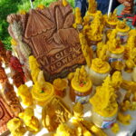 XI Świętokrzyskie Święto Pszczoły / Emilia Sitarska / Radio Kielce