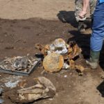 Krzczonów. Akcja poszukiwawcza szczątków alianckiego samolotu Liberator B24L / UMiG Opatowiec