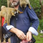 Lemury Madagaskaru / dr hab. Małgorzata Anna Jóźwiak i prof. dr hab. Marek Jóźwiak