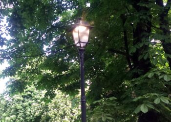 Lampy na skwerze imienia Stefana Żeromskiego w Kielcach od dłuższego czasu świecą przez cała dobę / zdjęcie słuchacza