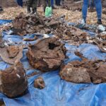 Gmina Opatowiec. Akcja poszukiwawcza szczątków „Liberatora” / Kamil Włosowicz / Radio Kielce