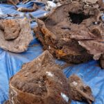 Gmina Opatowiec. Akcja poszukiwawcza szczątków „Liberatora” / Kamil Włosowicz / Radio Kielce