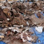 Gmina Opatowiec. Akcja poszukiwawcza szczątków „Liberatora” / Kamil Włosowicz / Radio Kielce