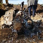 Gmina Opatowiec. Akcja poszukiwawcza szczątków „Liberatora” / Kamil Włosowicz / Radio Kielce