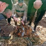 Gmina Opatowiec. Akcja poszukiwawcza szczątków „Liberatora” / Kamil Włosowicz / Radio Kielce