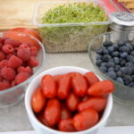 Śniadanie w ogrodzie / Kamil Król / Radio Kielce