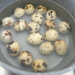 Śniadanie w ogrodzie / Kamil Król / Radio Kielce