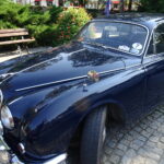 Jednym z przystanków w Rajdzie Zabytkowej Motoryzacji był Park Miejski w Pińczowie, gdzie zaprezentowano kilkadziesiąt zabytkowych modeli samochodów / Kamil Włosowicz / Radio Kielce