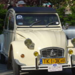 Jednym z przystanków w Rajdzie Zabytkowej Motoryzacji był Park Miejski w Pińczowie, gdzie zaprezentowano kilkadziesiąt zabytkowych modeli samochodów / Kamil Włosowicz / Radio Kielce