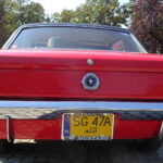 Jednym z przystanków w Rajdzie Zabytkowej Motoryzacji był Park Miejski w Pińczowie, gdzie zaprezentowano kilkadziesiąt zabytkowych modeli samochodów / Kamil Włosowicz / Radio Kielce